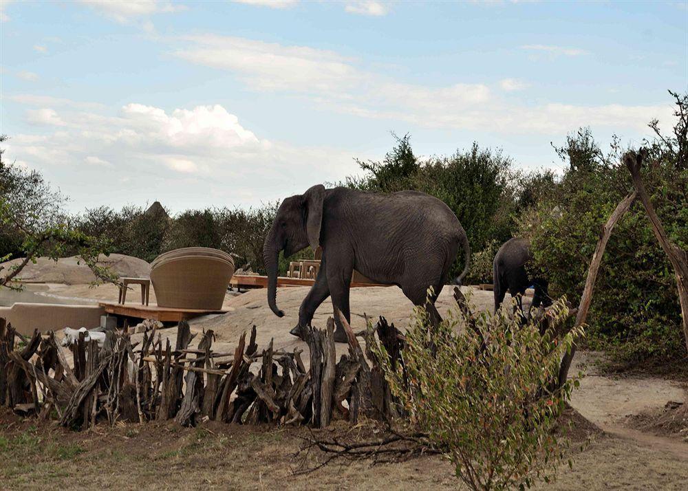 Sayari Camp Hotel Nyanungu Exterior photo