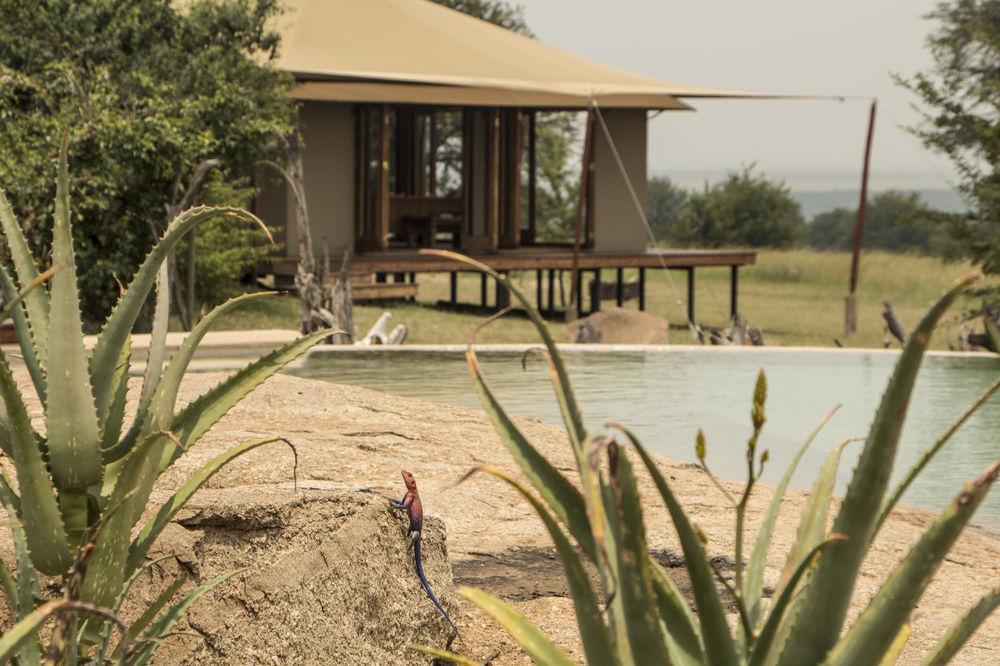 Sayari Camp Hotel Nyanungu Exterior photo